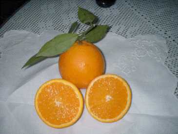 Photo : Propose à vendre Fruit et légume Orange