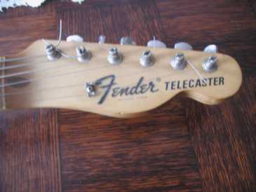 Photo : Propose à vendre Guitare FENDER - THINLINE