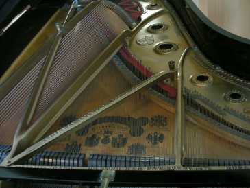 Photo : Propose à vendre Piano à queue STEINWAY & SONS - PIANOFORTE A CODA STEINWAY & SONS MOD C