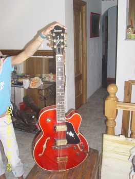 Photo : Propose à vendre Guitare IBANEZ