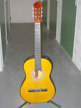 Photo : Propose à vendre Guitare