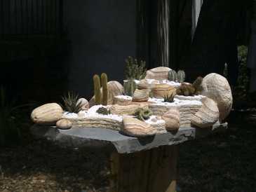 Photo : Propose à vendre Coquillages, fossile et pierre JARDIN EXOTIQUE ARIDE MEXICAIN DE SALON.PIECE UNIQ