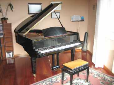 Photo : Propose à vendre Piano à queue CALISIA
