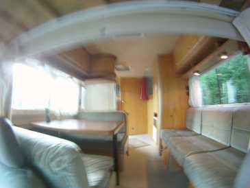 Photo : Propose à vendre Camping car / minibus LAIKA - ECOVIP2
