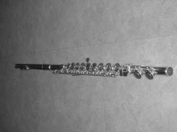 Photo : Propose à vendre Flûte travèrsiere YAMAHA - 281