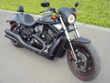 Photo : Propose à vendre Moto 1300 cc - HARLEY-DAVIDSON - NIGHT ROD SPECIAL