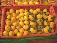 Photo : Propose à vendre Fruits et légumes Mandarine