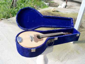 Photo : Propose à vendre Guitare et instrument à corde LIUTERIA ARTIGIANALE - MANDOLINO STILE PORTOGHESE