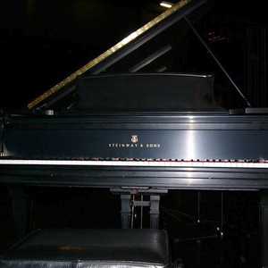 Photo : Propose à vendre Piano à queue STEINWAY - DE CONCERT MODELE D