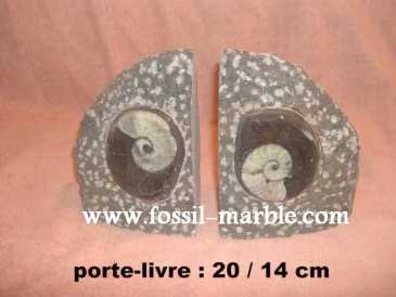 Photo : Propose à vendre Décoration BOOKENDS FOSSILS AND FOSSILIZED MARBLE RISSANI - BOOKENDS FOSSILS AND FOSSILIZED MARBLE ERFOUD