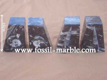 Photo : Propose à vendre Décoration BOOKENDS FOSSILS AND FOSSILIZED MARBLE RISSANI - BOOKENDS FOSSILS AND FOSSILIZED MARBLE ERFOUD