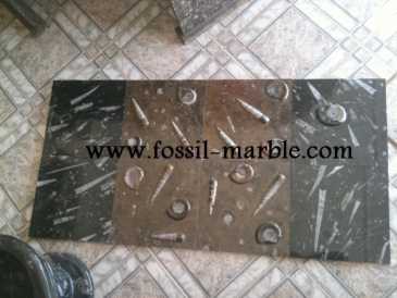 Photo : Propose à vendre Décoration BLACK SLAB FOSSILIZED MARBLE MOROCCO - BLACK FOSSILIZED MARBLE MOROCCO