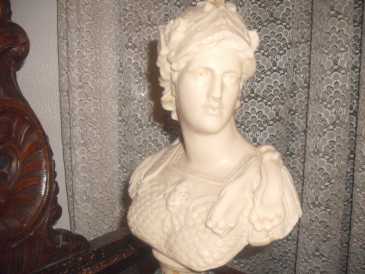 Photo : Propose à vendre Buste Marbre - RAPPRESENTAZIONE UMANA - XVIè siècle