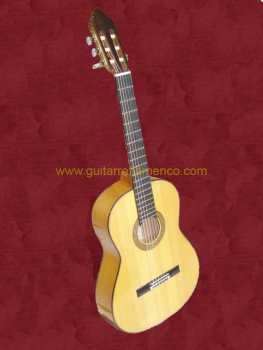 Photo : Propose à vendre Guitare VALERIANO BERNAL - PRODIGIO