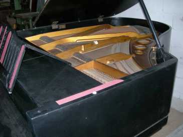 Photo : Propose à vendre Piano demi-queue JULIUS BLUTHNER - PIANO COLA