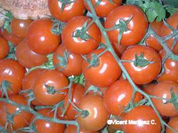 Photo : Propose à vendre Fruit et légume Tomate
