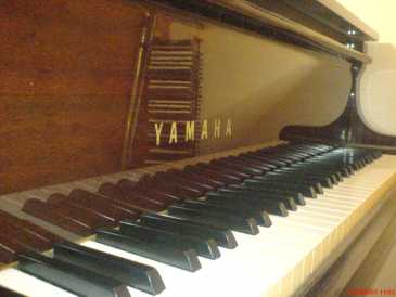 Photo : Propose à vendre Piano quart-de-queue YAMAHA - G2 E-2193922