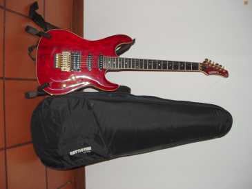 Photo : Propose à vendre Guitare SAMICK