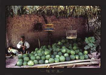 Photo : Propose à vendre Fruit et légume Pastèque