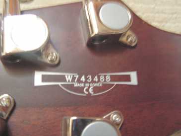 Photo : Propose à vendre Guitare IBANEZ - SZ320MH