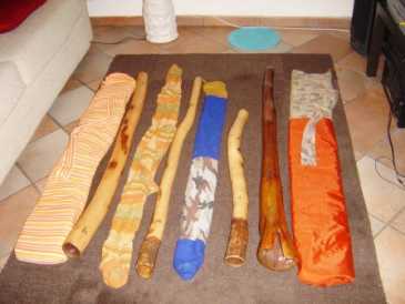 Photo : Propose à vendre 4 Didgeridoos (australien)s DIDJSHOP