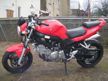 Photo : Propose à vendre Moto 650 cc - SUZUKI - SV