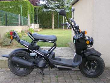 Photo : Propose à vendre Scooter 50 cc - HONDA - ZOOMER