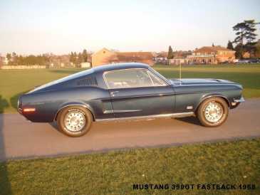 Photo : Propose à vendre Coupé FORD - Mustang