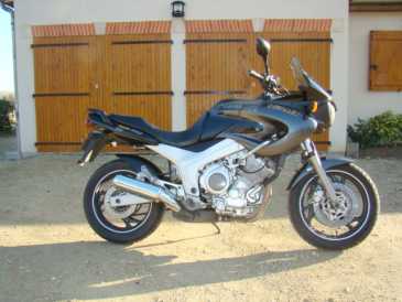 Photo : Propose à vendre Moto 850 cc - YAMAHA - TDM