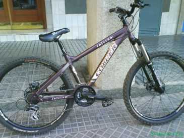 Photo : Propose à vendre Vélo COLUER