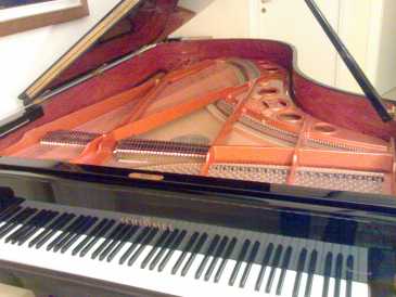 Photo : Propose à vendre Piano à queue SCHIMMEL