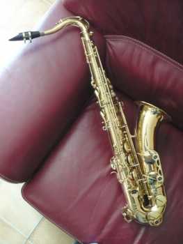 Photo : Propose à vendre Saxophone YANAGISAWA - T901
