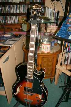 Photo : Propose à vendre Guitare IBANEZ - AG-75 HB