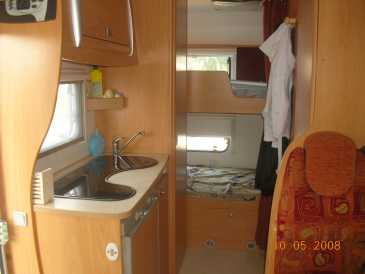 Photo : Propose à vendre Camping car / minibus CHALLENGER - GENESIS 43