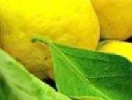 Photo : Propose à vendre Fruit et légume Citron