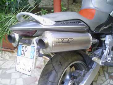 Photo : Propose à vendre Moto 900 cc - HONDA - CB HORNET