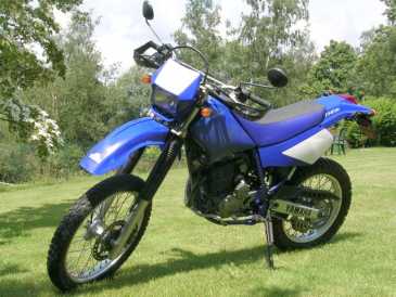 Photo : Propose à vendre Moto 250 cc - YAMAHA - TT R
