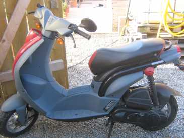 Photo : Propose à vendre Scooter 50 cc - PEUGEOT - LUDIX DEUX PLACES